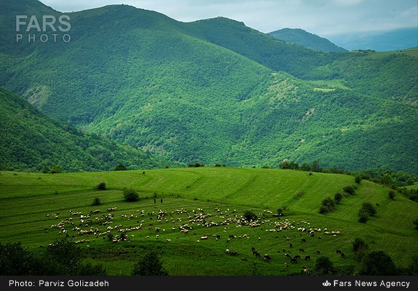 طبیعت ارسباران- آذربایجان شرقی (عکس)