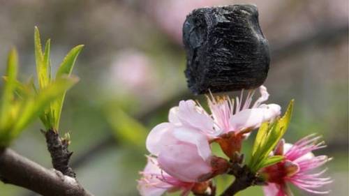 ماده ای که ۷ بار از هوا سبک تر است (+عکس)