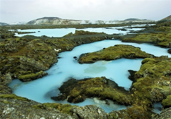 سونای طبیعی با خواص دارویی (+عکس)