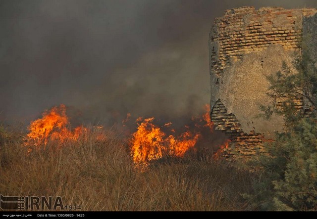 آتش‌سوزی در جزیره ایرانی دریای خزر (عکس)