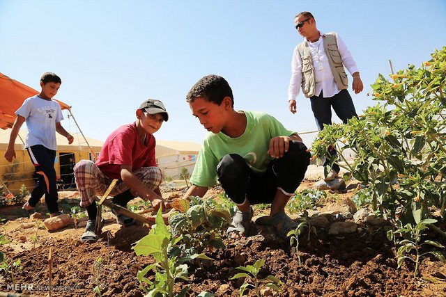 باغبانی سوری ها در اردوگاه آوارگان (عکس)