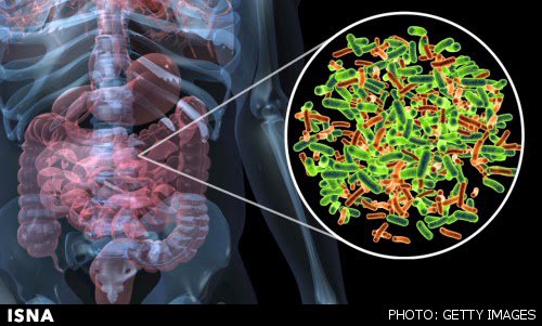 خستگی مزمن و ارتباط آن با میکروب‌های روده‌