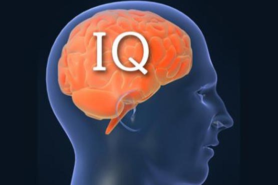 با ایـن تـست، IQ خـود را مشخـص کنیـد