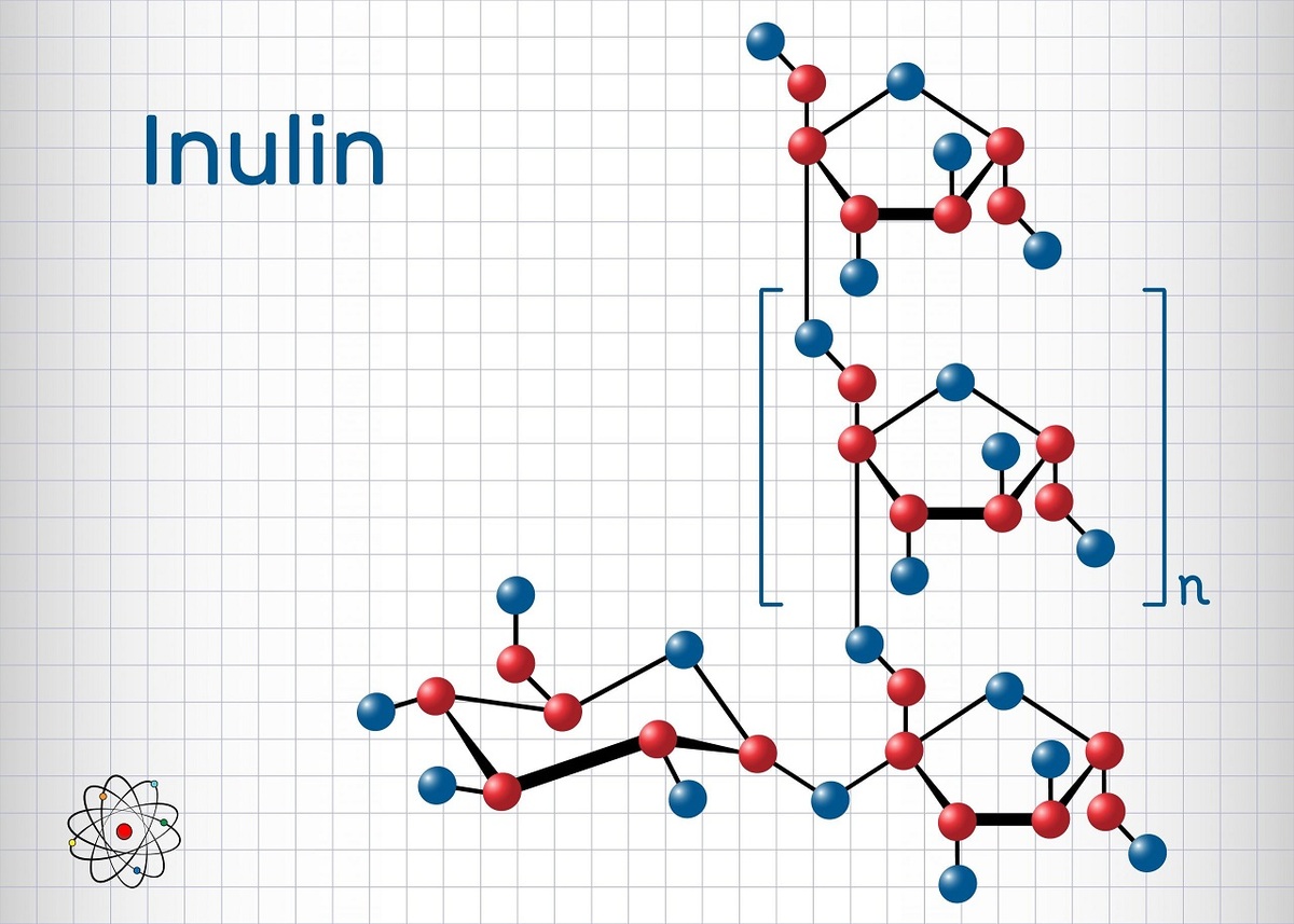 اینولین چیست و چه اثری بر سلامت دارد(+عکس)